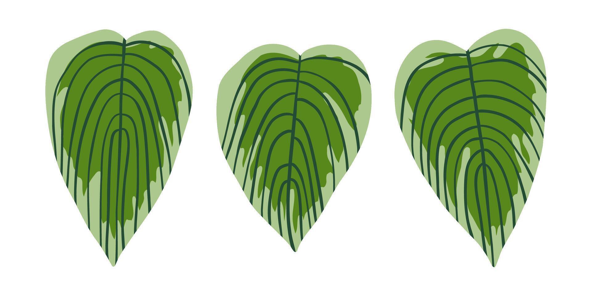 Hand drawn set with tropical leaves. Jungle, rain forest, wildlife. Vector illustration in flat style.