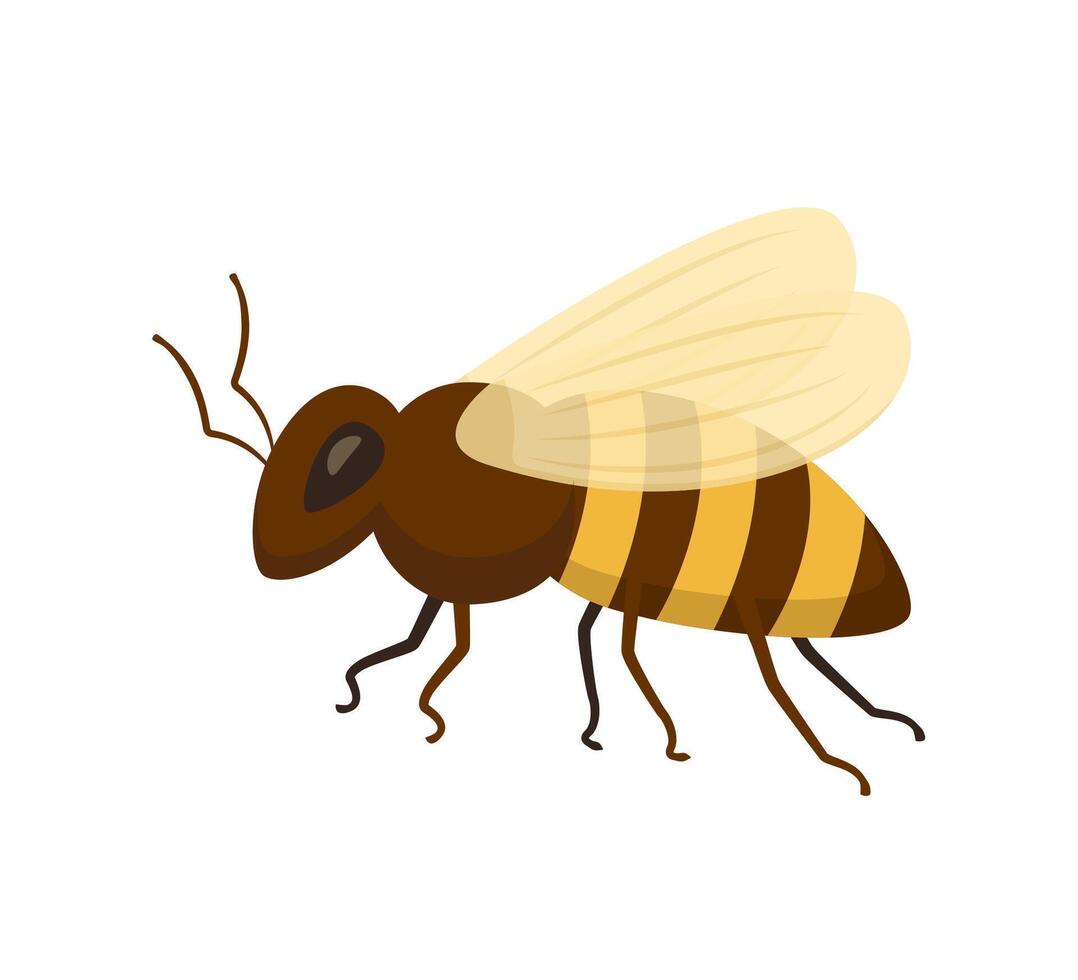 Bee icon isolated on white background. Honey flying bee. Insect. Vector illustration.
