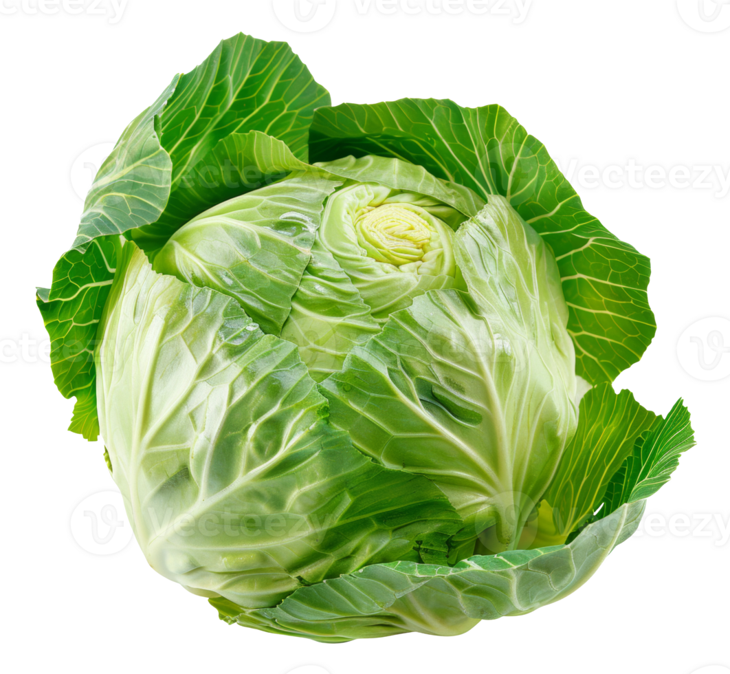 AI generated Fresh green cabbage head on transparent background - stock png. png