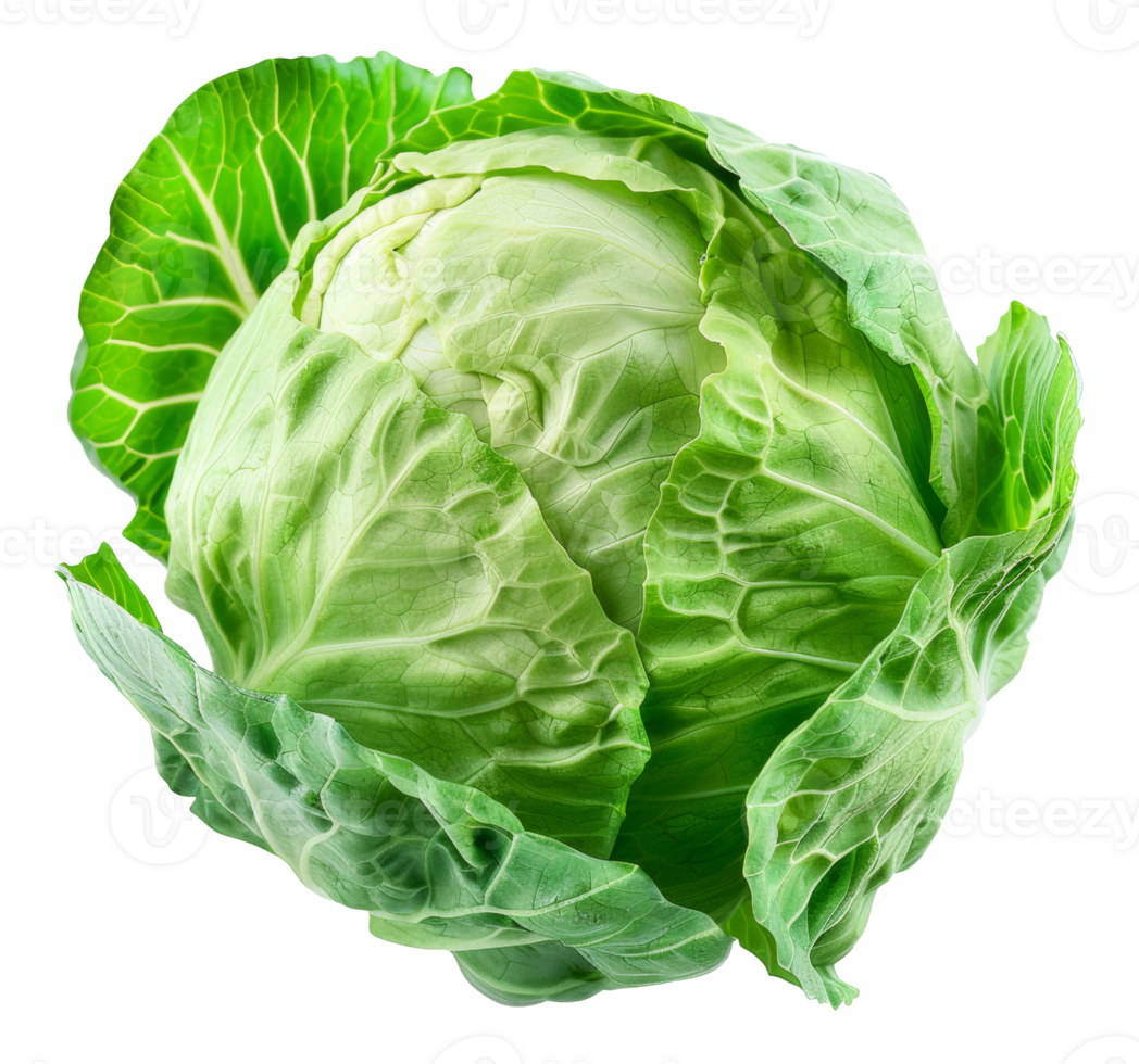 AI generated Fresh green cabbage head on transparent background - stock png. png