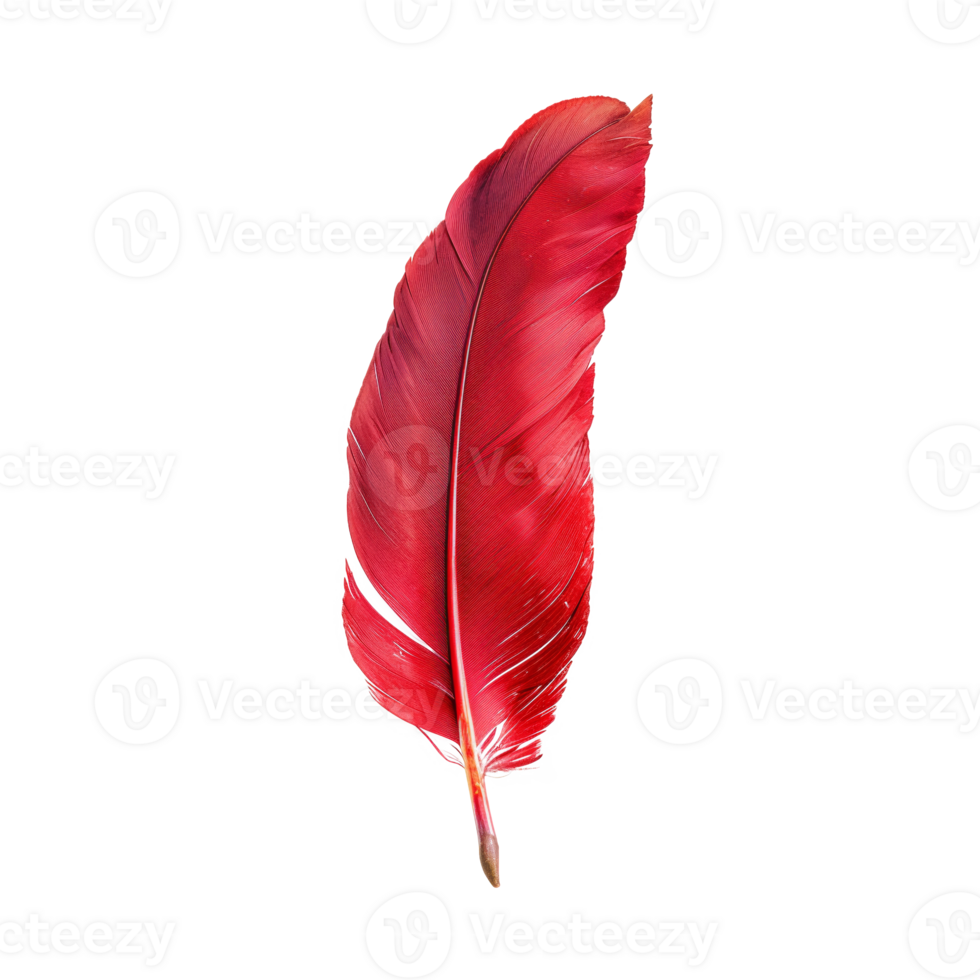 AI generated Single red feather with fine texture on transparent background - stock png. png