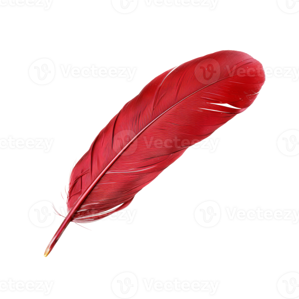 AI generated Single red feather with fine texture on transparent background - stock png. png