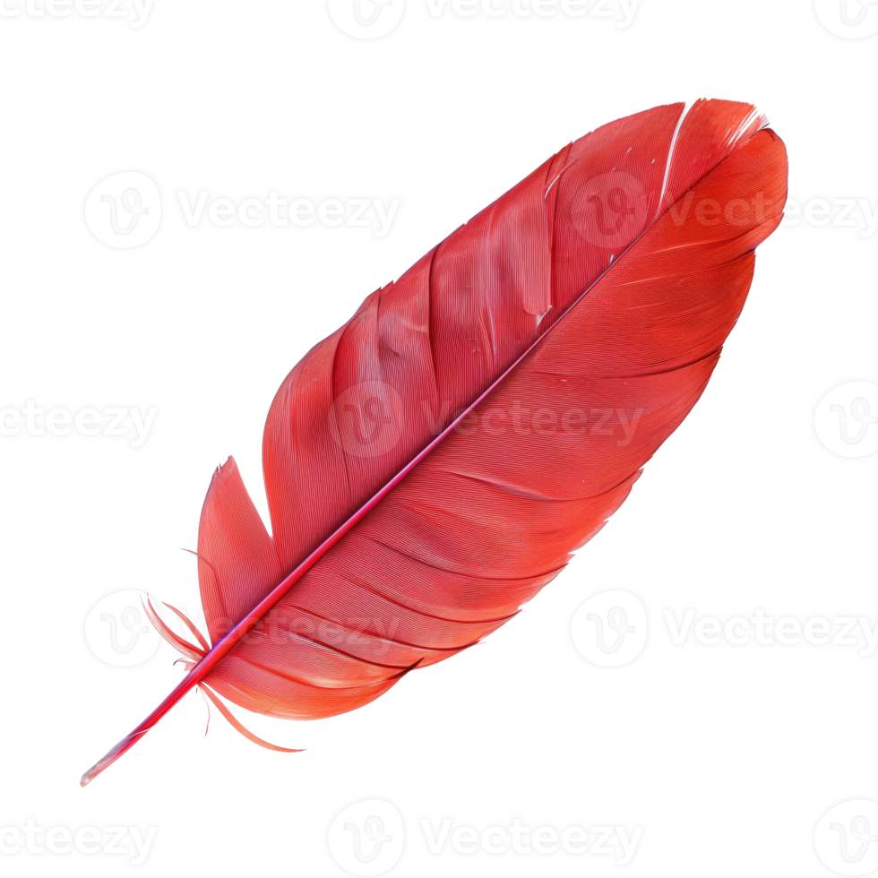 AI generated Single red feather with fine texture on transparent background - stock png. png