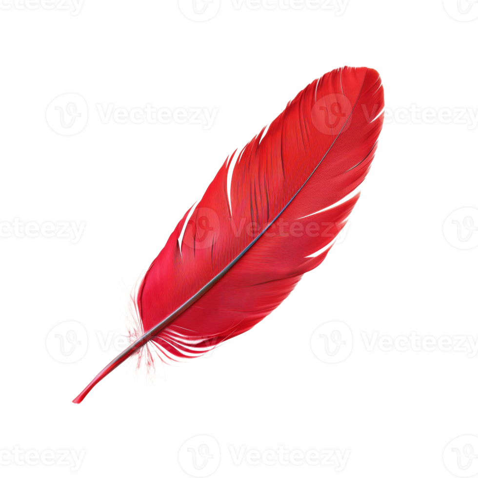 AI generated Single red feather with fine texture on transparent background - stock png. png