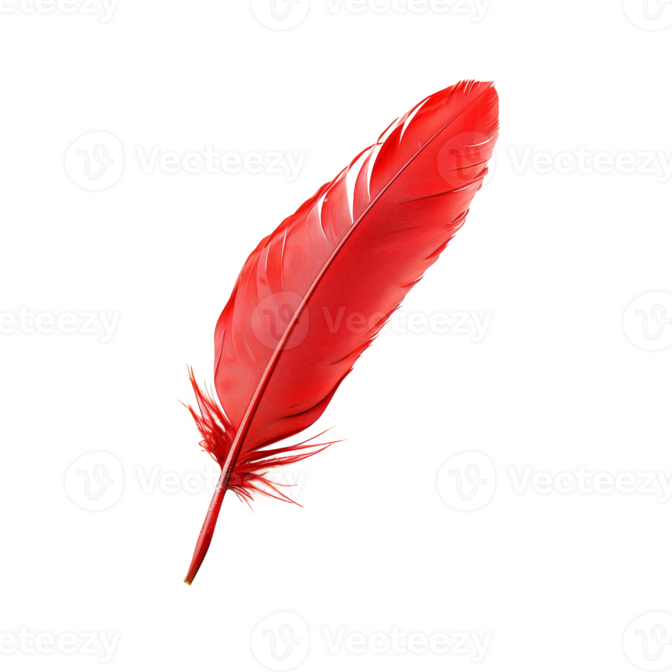 AI generated Single red feather with fine texture on transparent background - stock png. png