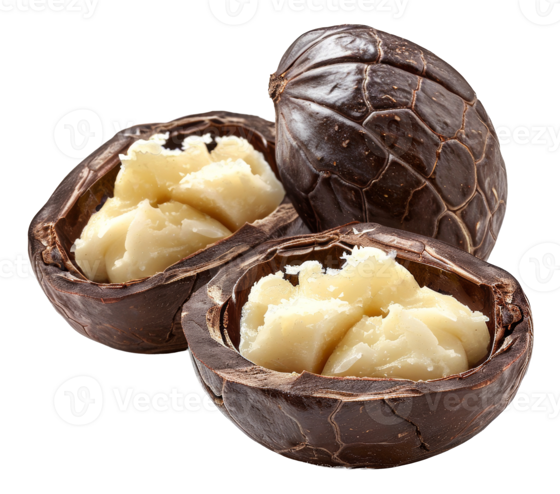 AI generated Whole macadamia nuts in shell with visible kernel on transparent background - stock png. png