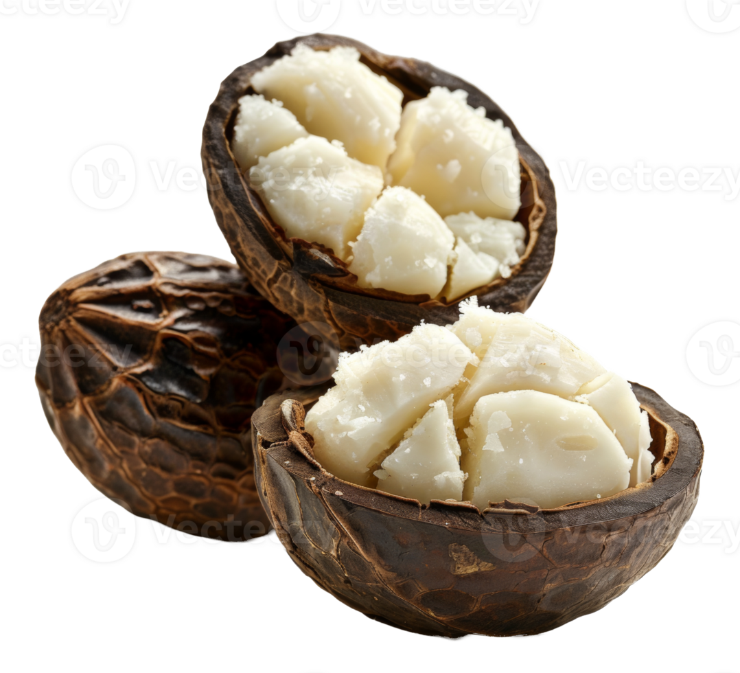 AI generated Whole macadamia nuts in shell with visible kernel on transparent background - stock png. png