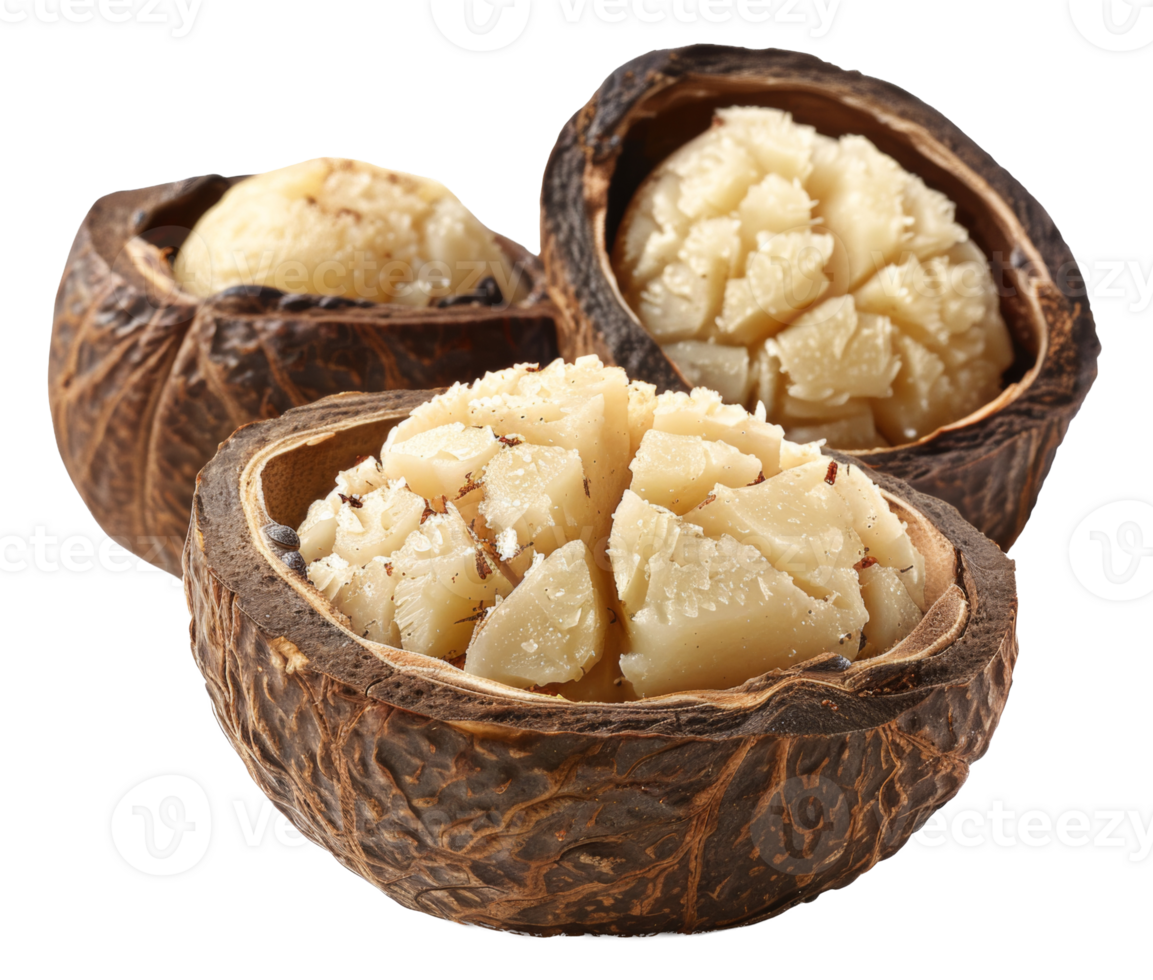 AI generated Whole macadamia nuts in shell with visible kernel on transparent background - stock png. png