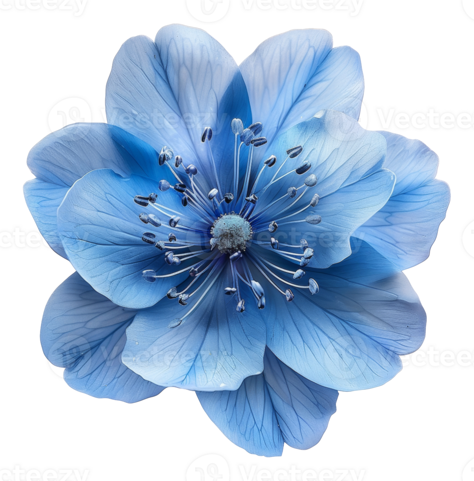 AI generated Vibrant blue flower with intricate petals on transparent background - stock png. png