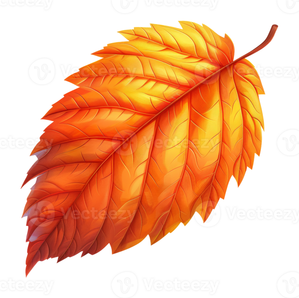 AI generated Textured leaf in warm fall colors on transparent background - stock png. png