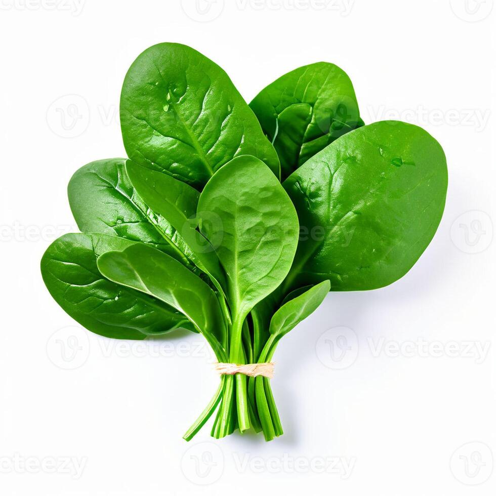 AI generated fresh spinach on white background photo