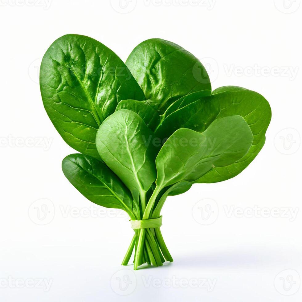 AI generated fresh spinach on white background photo