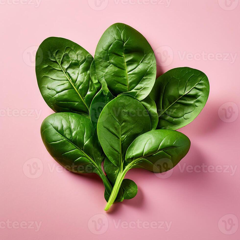 AI generated Spinach series on white background photo