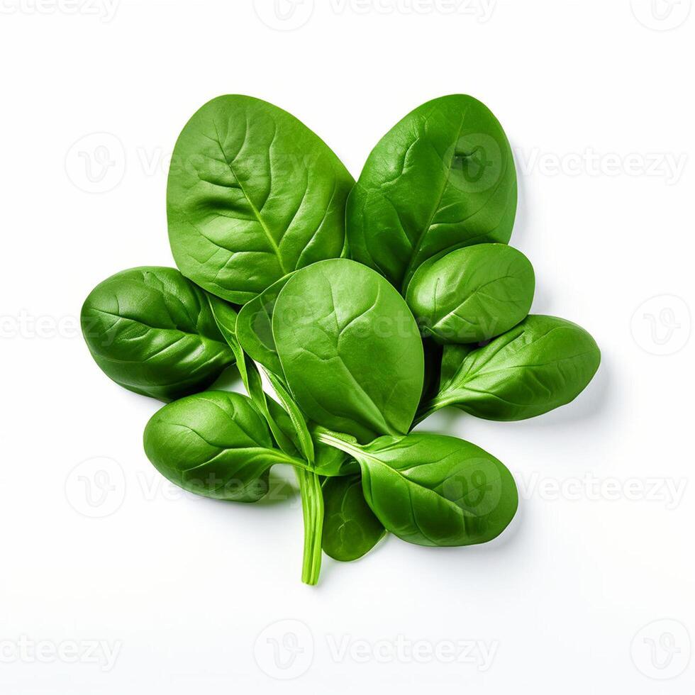 AI generated Spinach series on white background photo