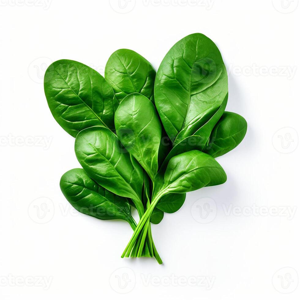 AI generated Spinach series on white background photo