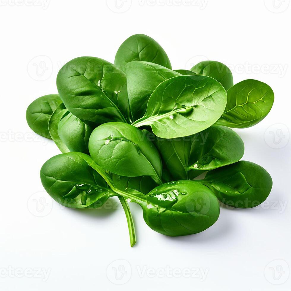 AI generated Spinach series on white background photo