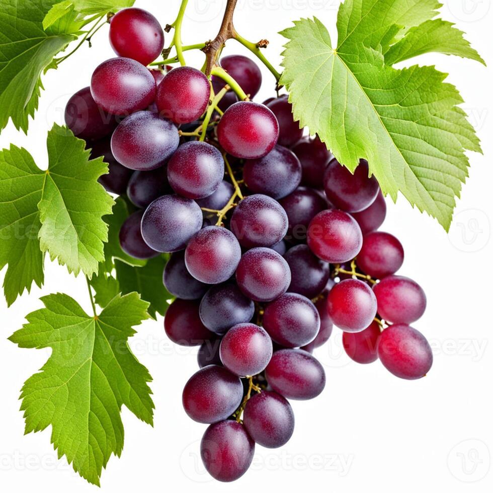 AI generated a bunch of fresh ripe juicy organic red grapes with green leaves isolated on white background photo