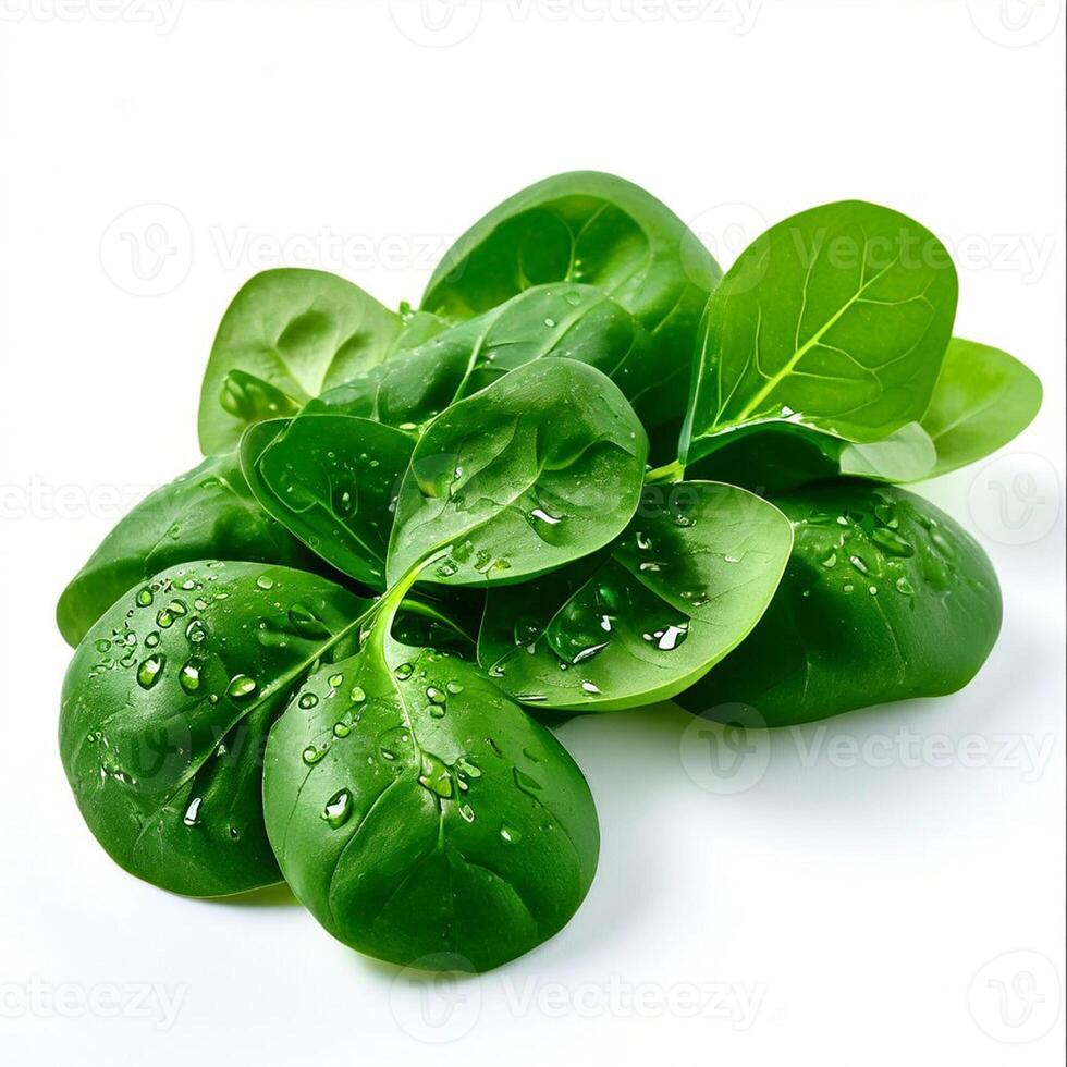 AI generated Spinach series on white background photo