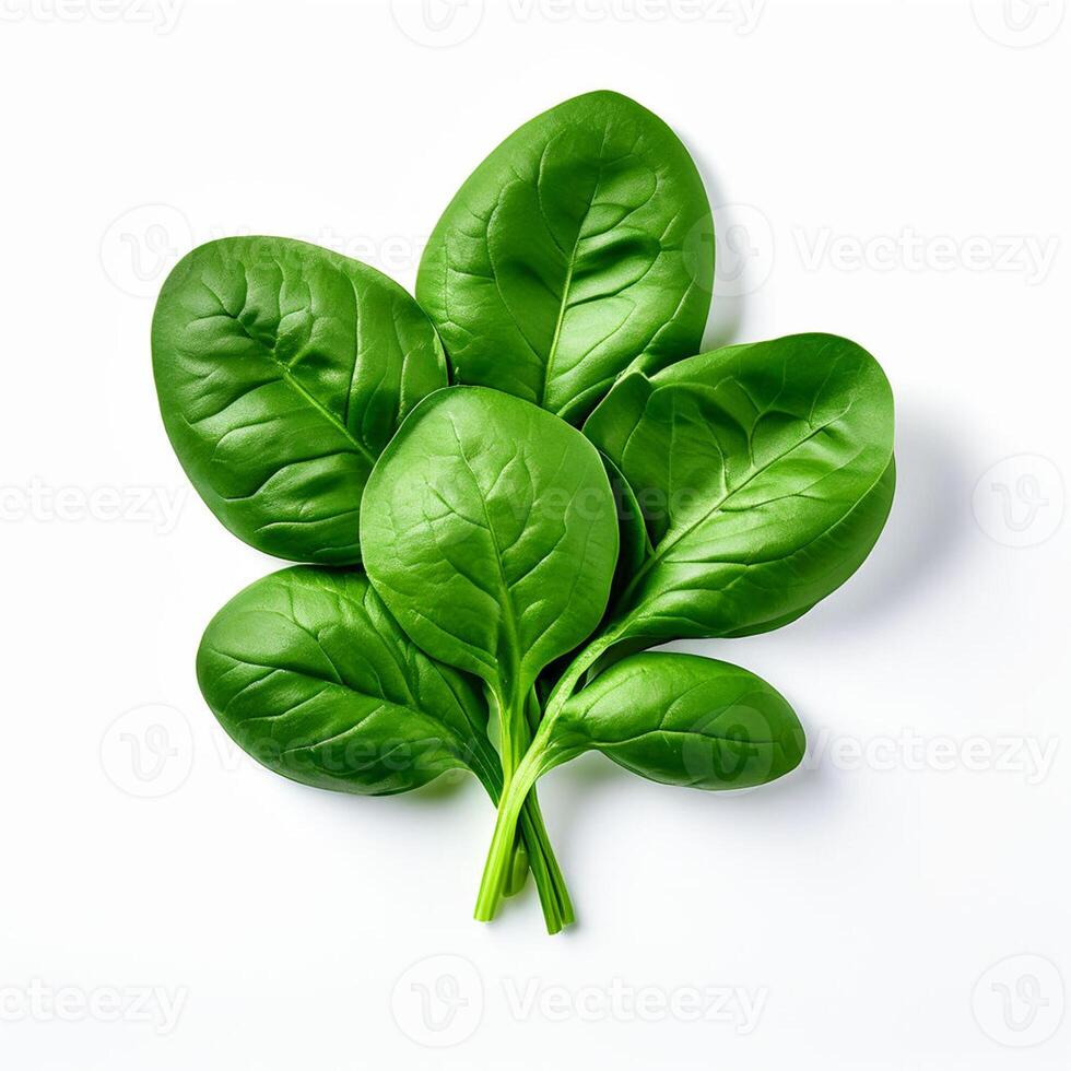 AI generated Spinach series on white background photo