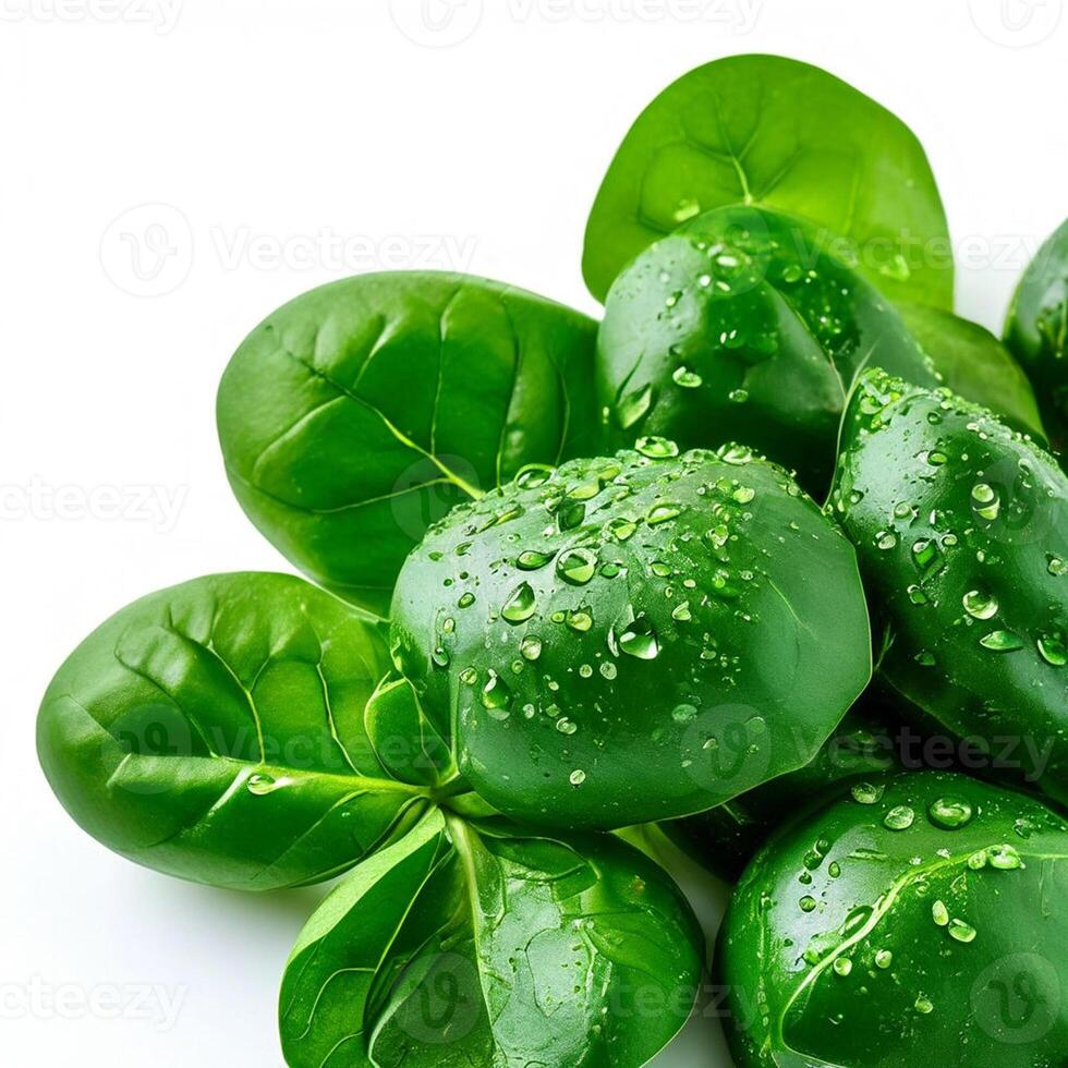 AI generated Spinach series on white background photo