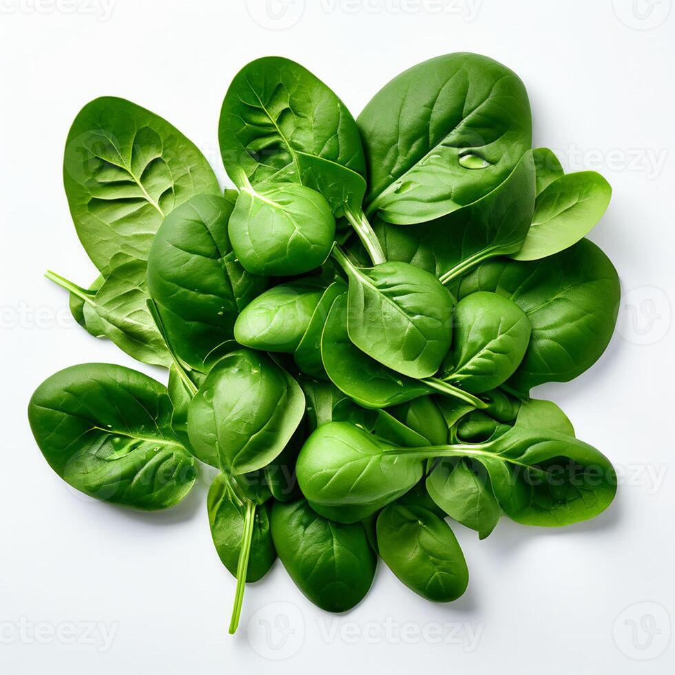 AI generated Spinach series on white background photo