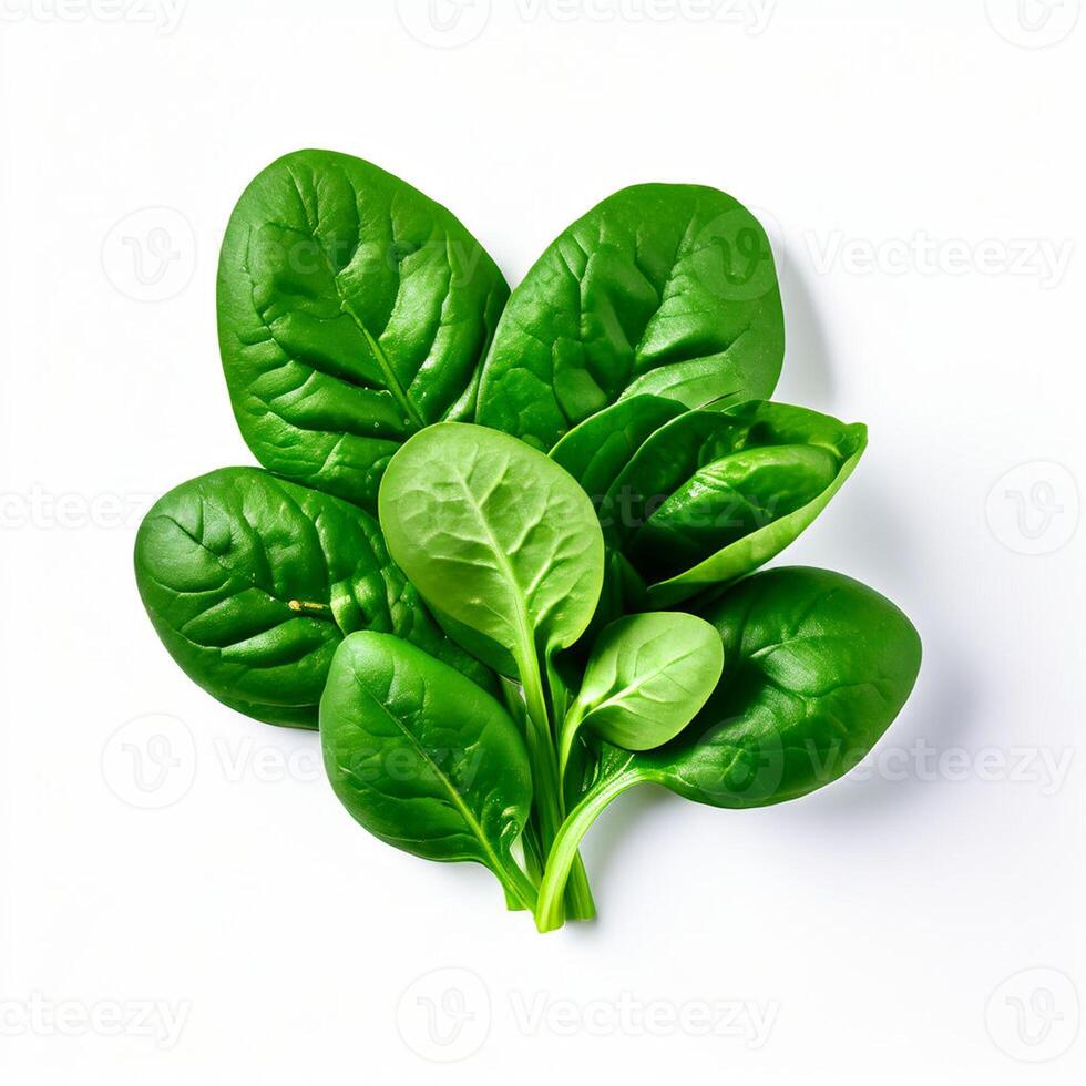 AI generated fresh spinach on white background photo