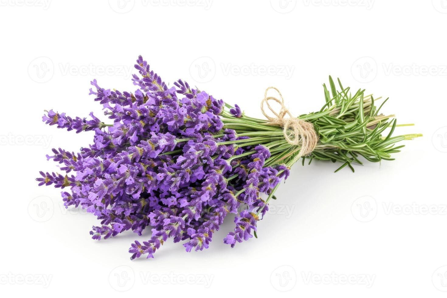 AI generated Bunch of lavender flowers isolated on white background photo