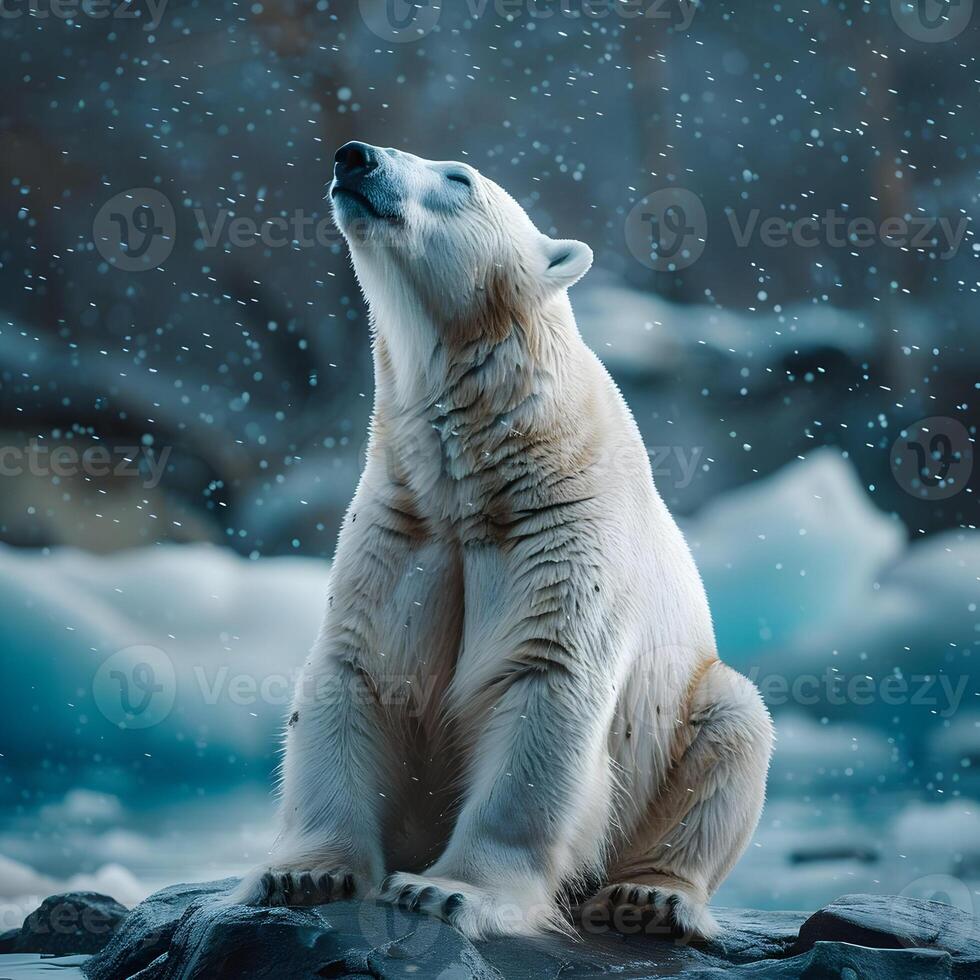 AI generated Seating polar bear looking up close up photo under the snow in wildlife. High-resolution. AI Generative