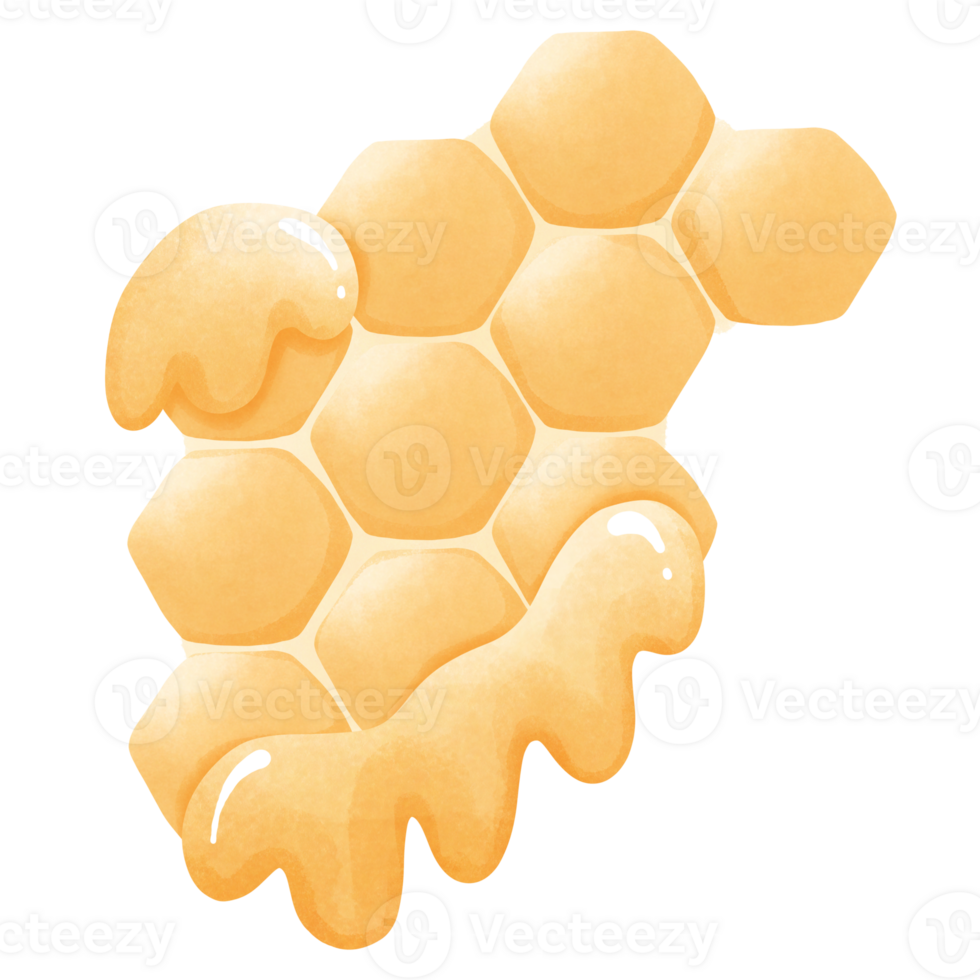 honeycomb with honey png