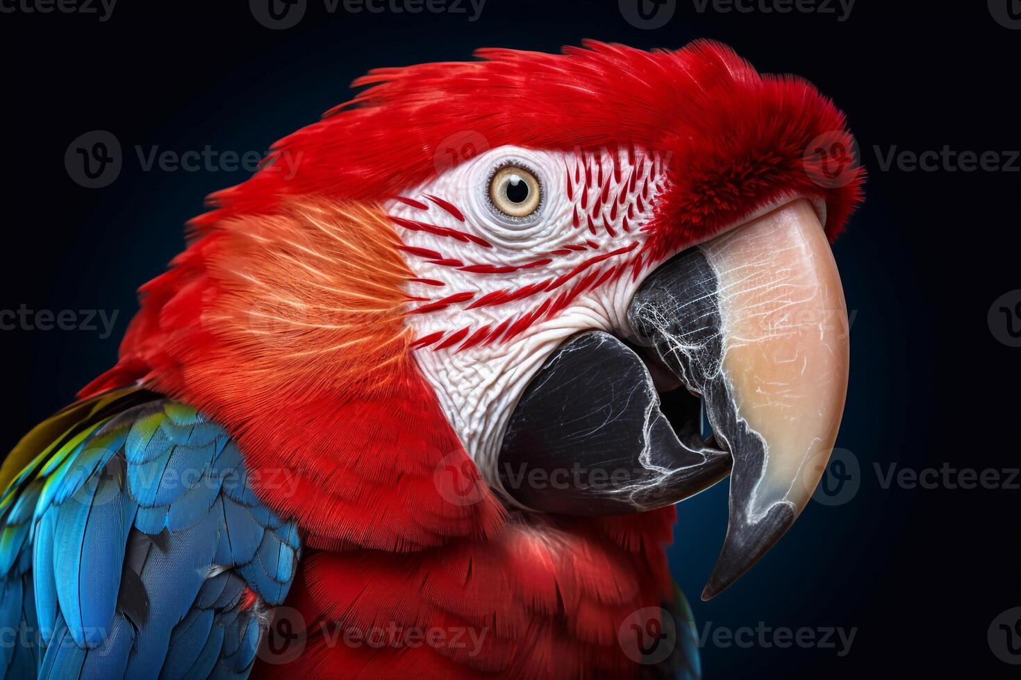 AI generated Portrait of a multi-colored parrot. photo