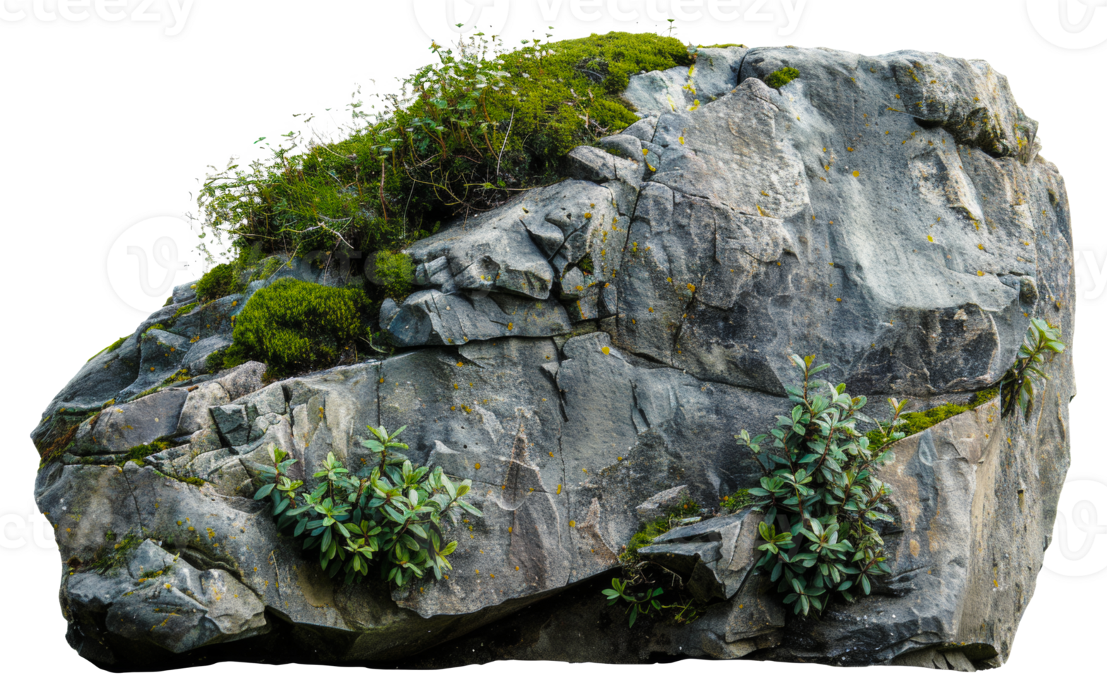 AI generated Natural rock with lush vegetation and white flowers on transparent background - stock png. png