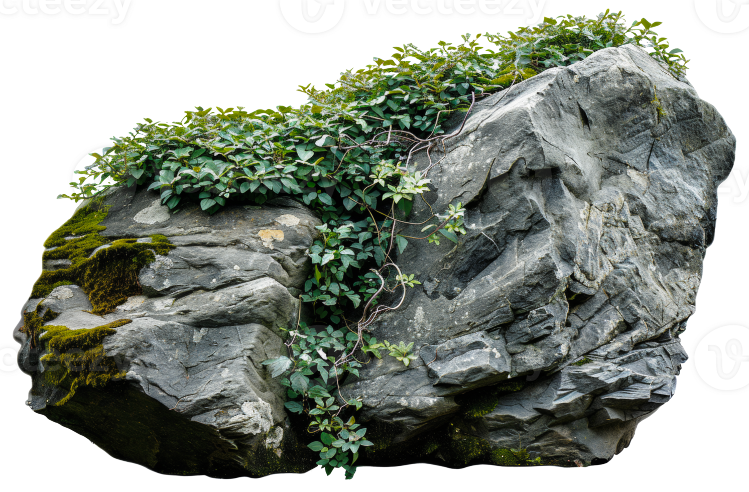 AI generated Natural rock with lush vegetation and white flowers on transparent background - stock png. png