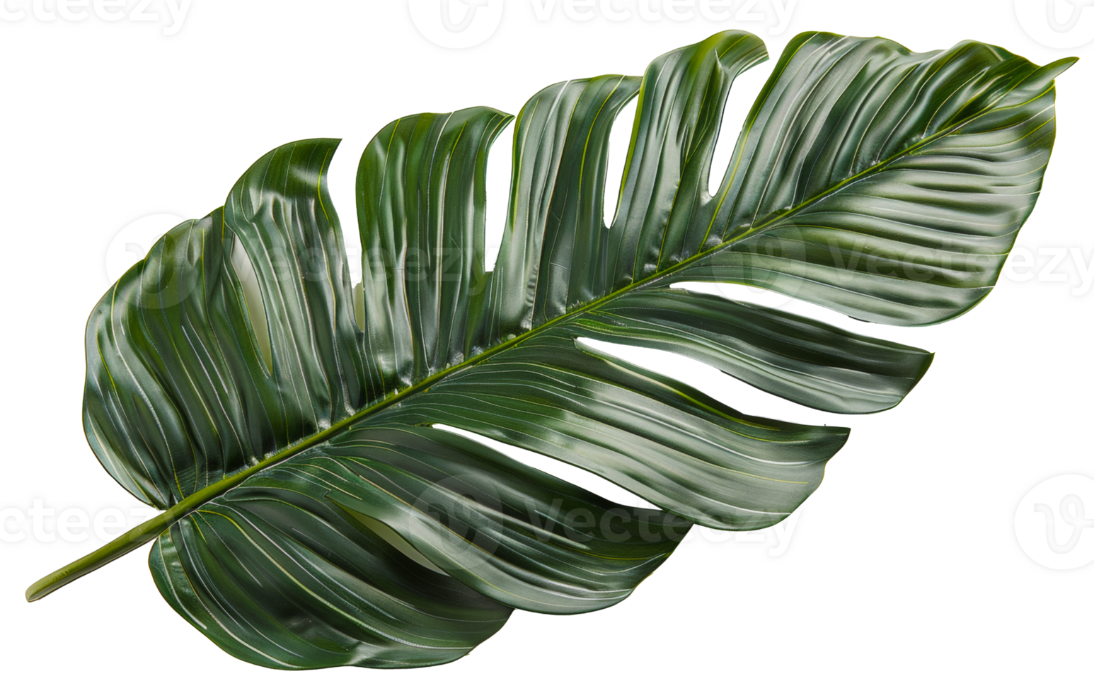 AI generated Single vibrant green palm leaf with natural patterns on transparent background - stock png. png