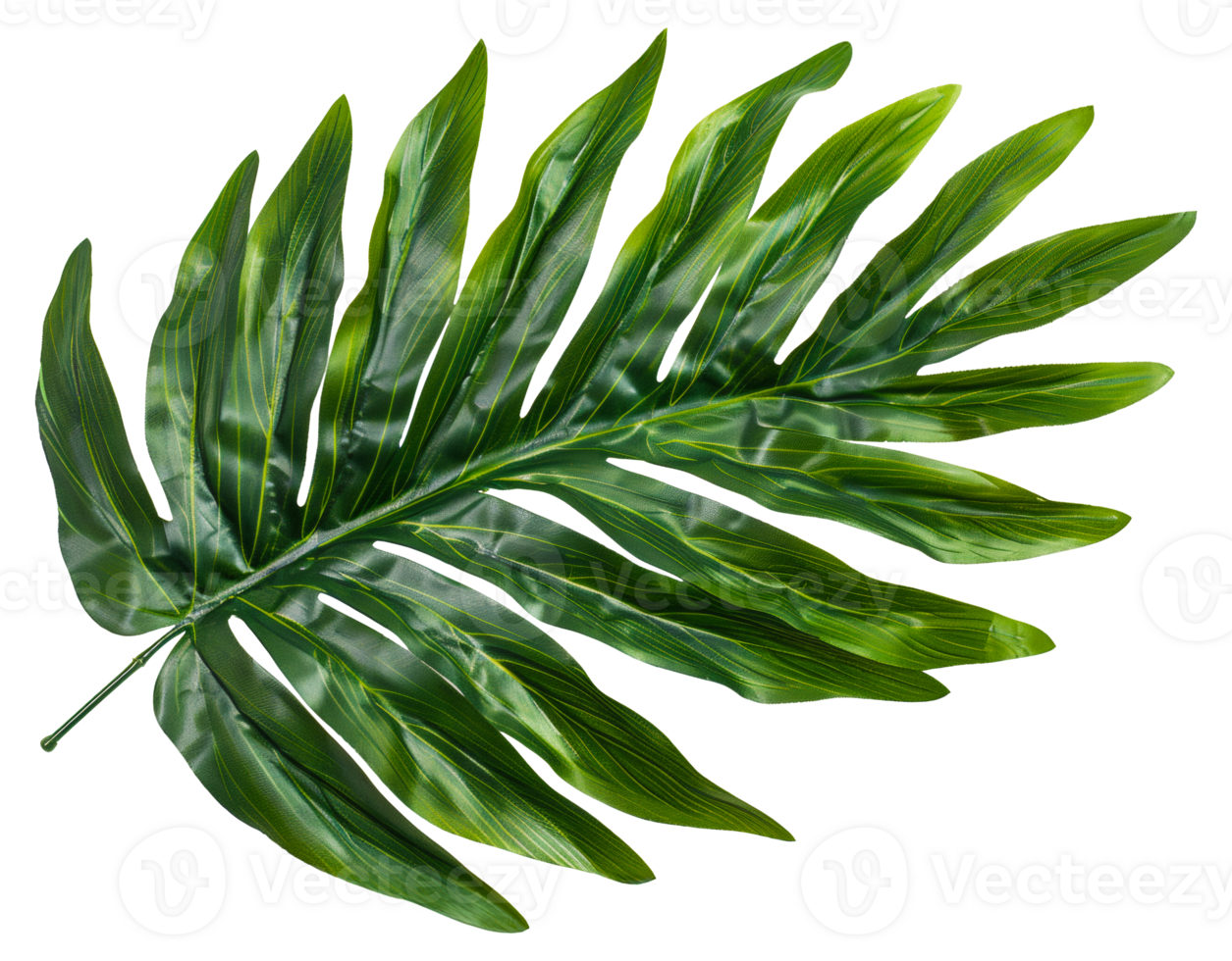 AI generated Single vibrant green palm leaf with natural patterns on transparent background - stock png. png
