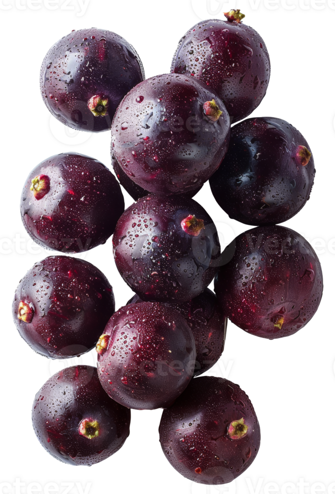 AI generated Whole black acai berrie with water droplets on transparent background - stock png. png