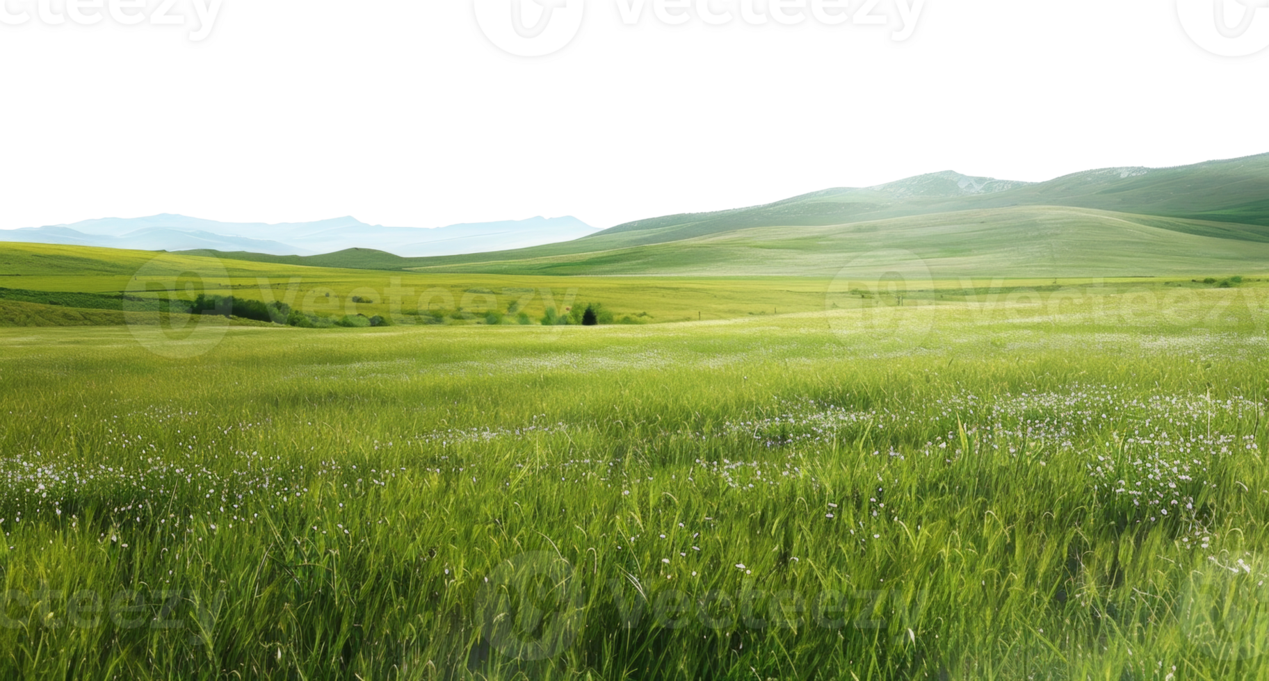 AI generated Rolling green hills with blossoming wildflowers on transparent background - stock png. png