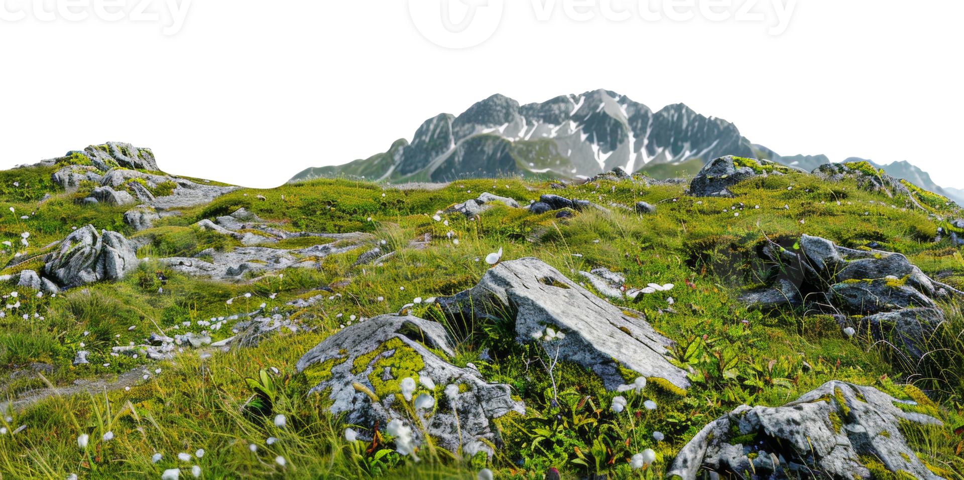 AI generated Verdant alpine meadow with wildflowers against mountain backdrop on transparent background - stock png. png