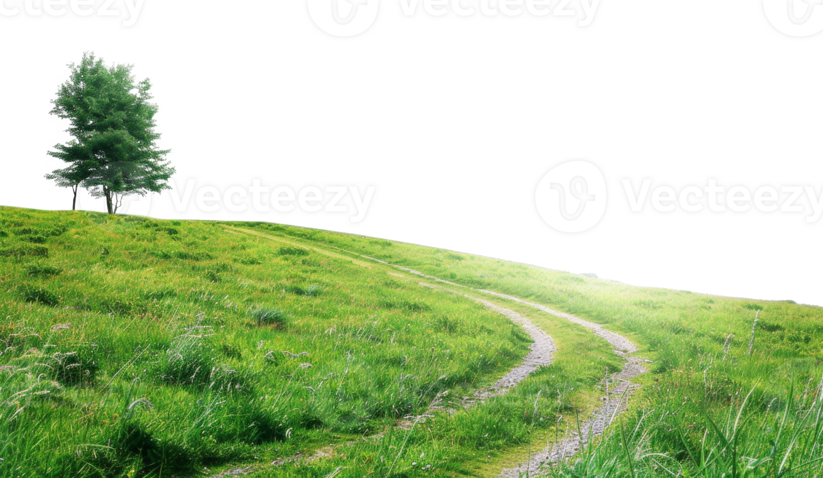 AI generated Solitary tree atop a lush green hill with a winding path on transparent background - stock png. png