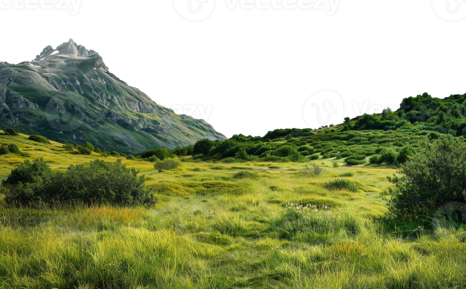 AI generated Verdant alpine meadow with wildflowers against mountain backdrop on transparent background - stock png. png