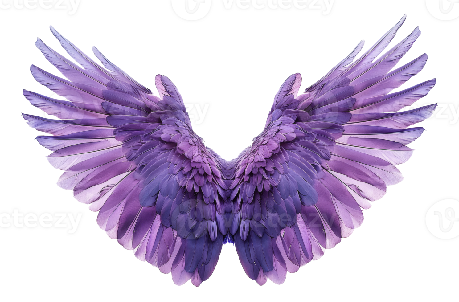 ai généré lavande ange ailes avec plume détails sur transparent Contexte - Stock png. png