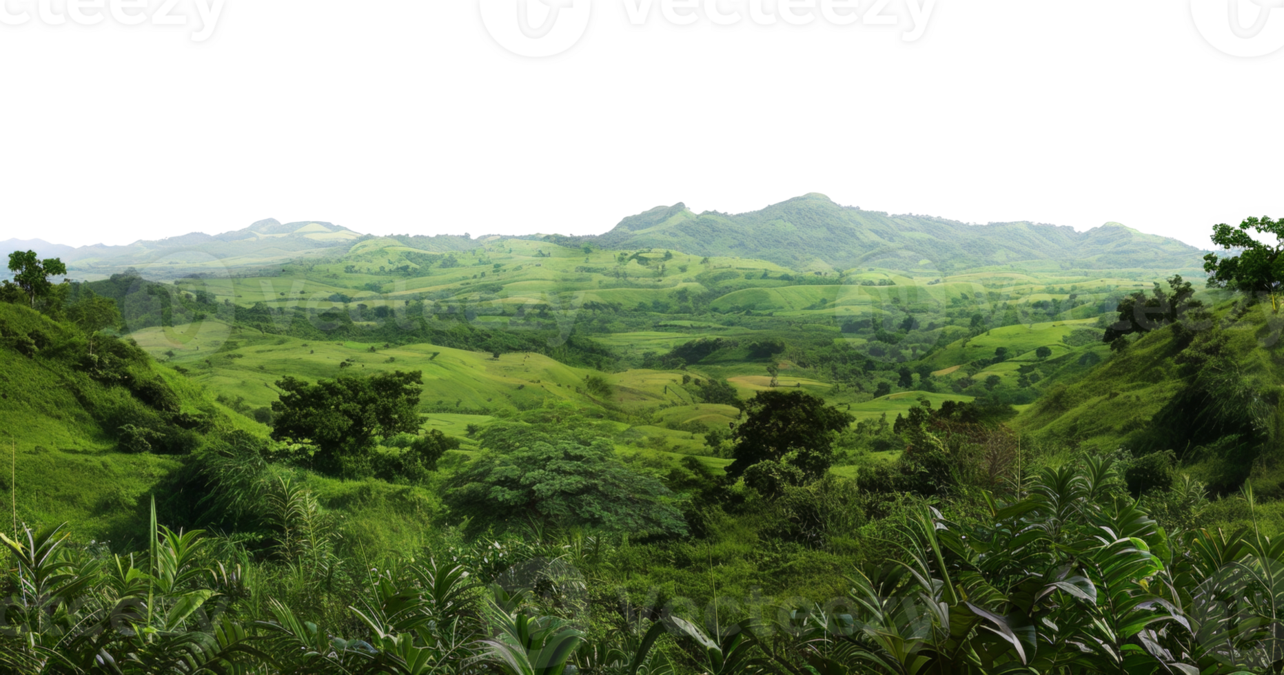 AI generated Lush green canopy of a misty tropical rainforest on transparent background - stock png. png