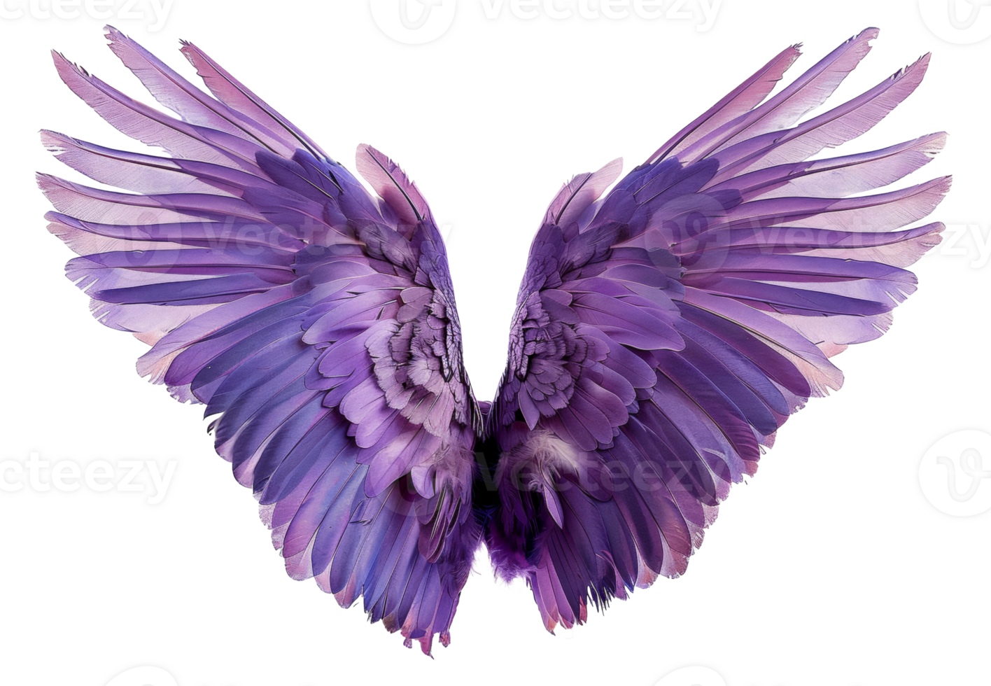 AI generated Graceful violet feathered wings spread in flight on transparent background - stock png. png