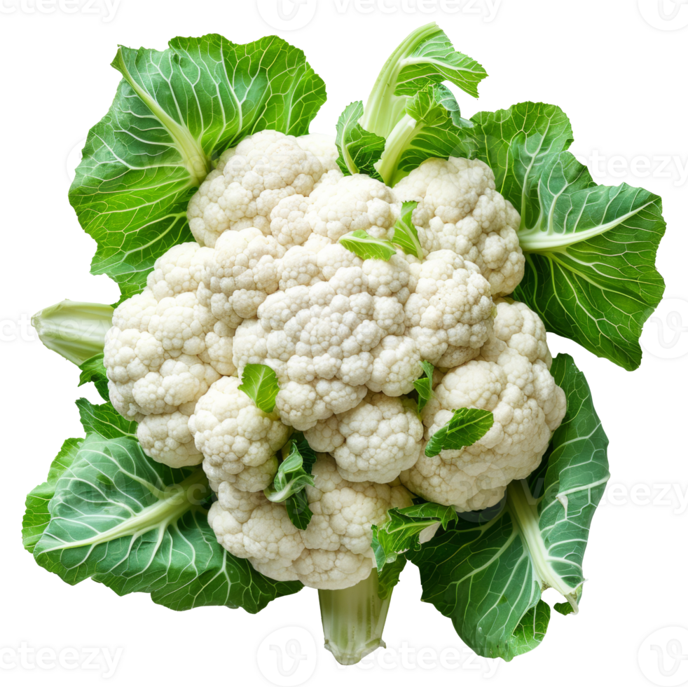 AI generated Fresh cauliflower with green leaves on transparent background - stock png. png