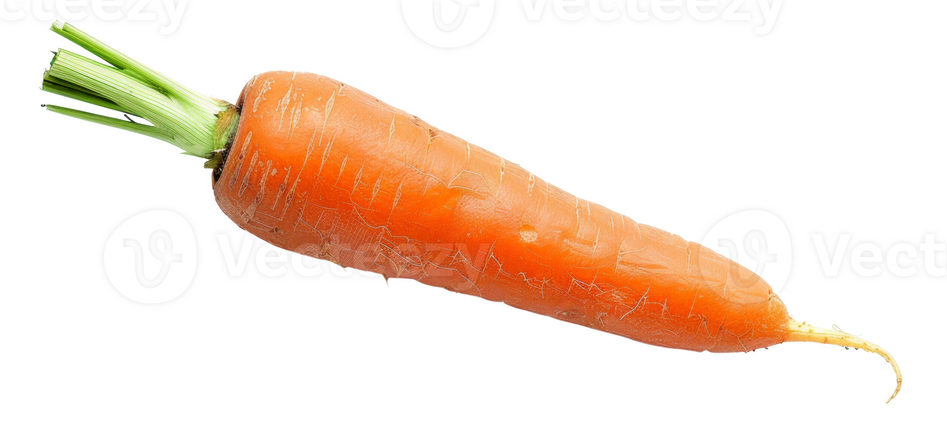 AI generated Fresh organic carrot with green tops on transparent background - stock png. png