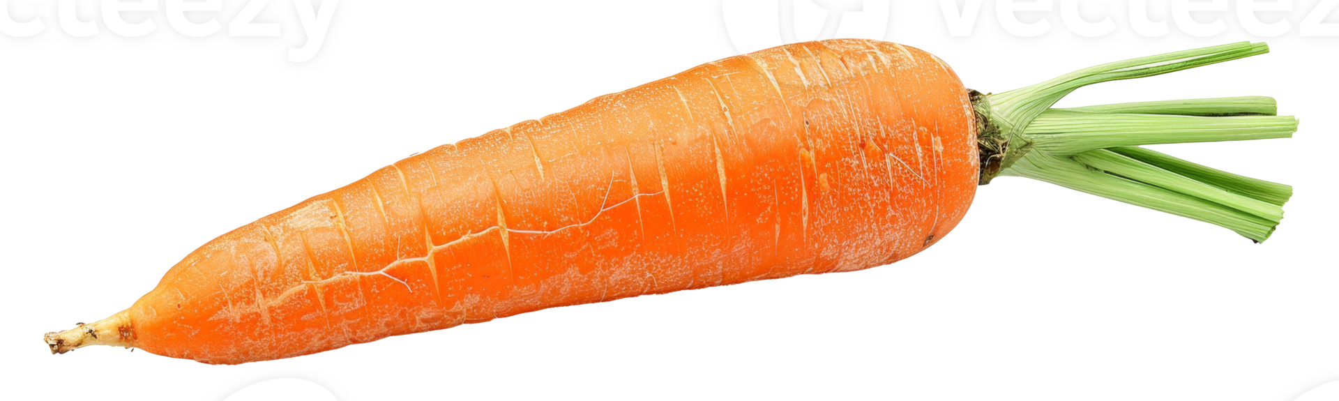 AI generated Fresh organic carrot with green tops on transparent background - stock png. png