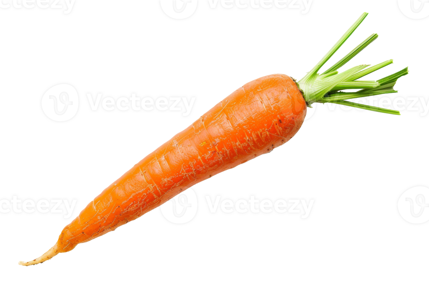 AI generated Fresh organic carrot with green tops on transparent background - stock png. png