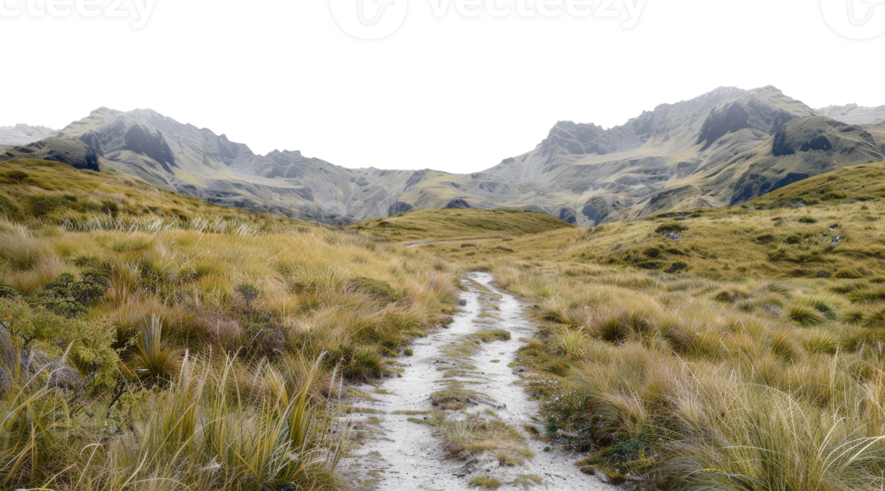 AI generated Hiking trail through golden tussocks leading towards majestic snow-capped mountains on transparent background - stock png. png