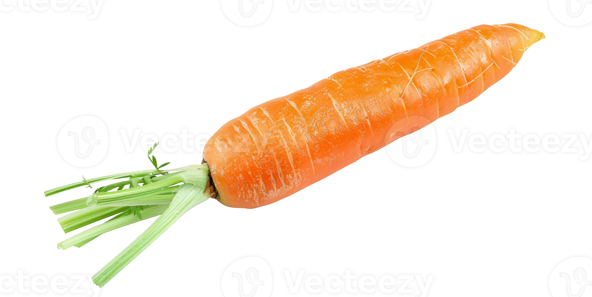 AI generated Fresh organic carrot with green tops on transparent background - stock png. png