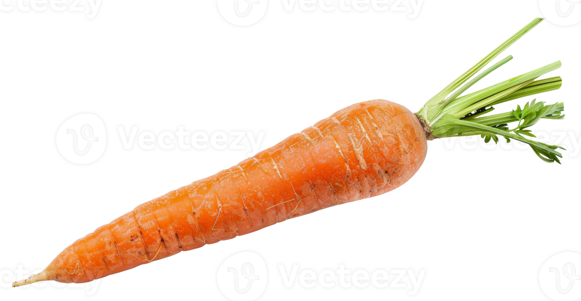 AI generated Fresh organic carrot with green tops on transparent background - stock png. png