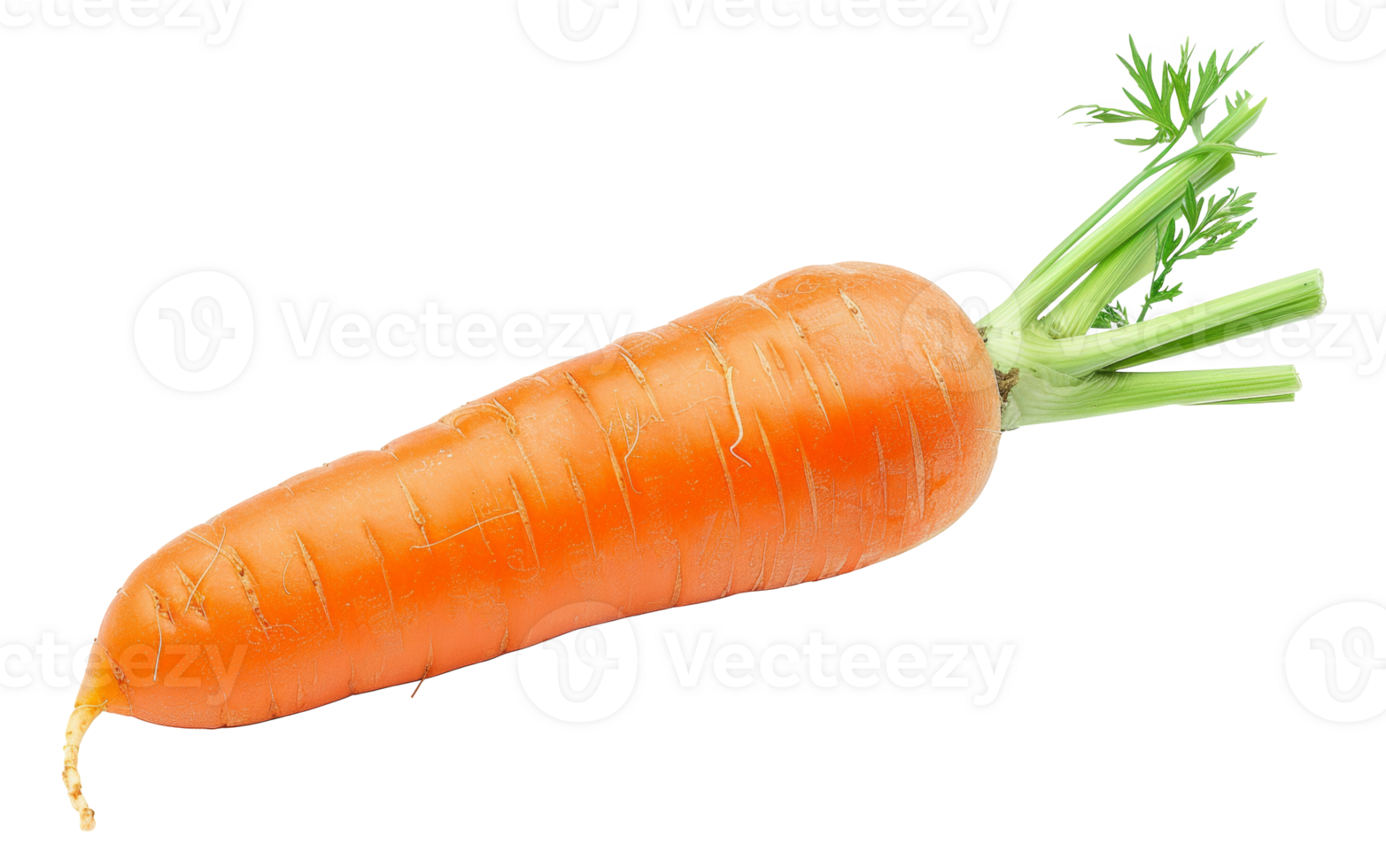 AI generated Fresh organic carrot with green tops on transparent background - stock png. png